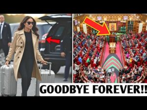 Youtube Downloader thumbnail_1756452306221